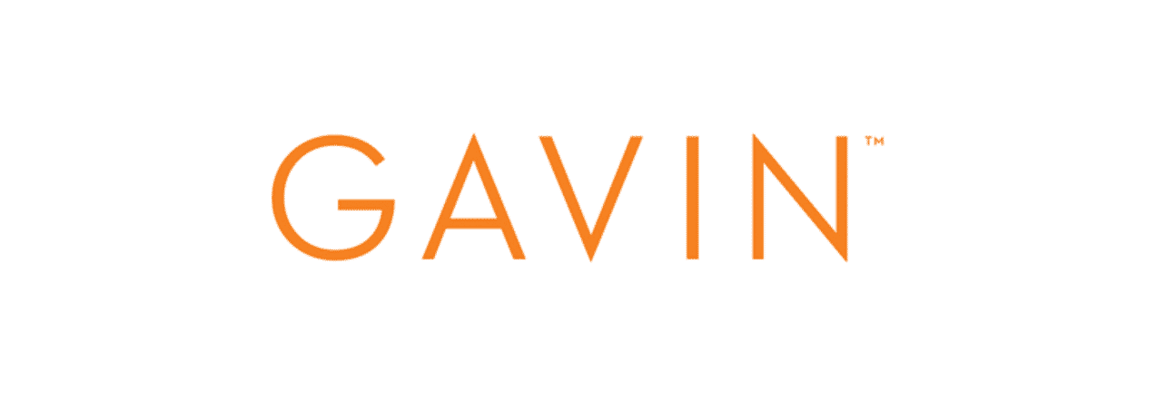 GAVIN logo original vs optimized 2